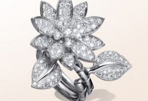 Lotus Between the Finger Ring