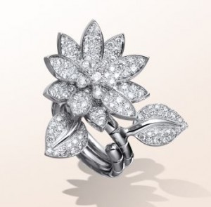 Lotus Between the Finger Ring