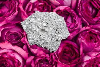 Piaget rose day