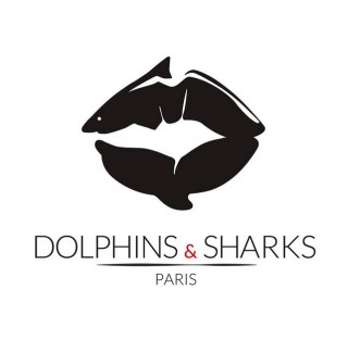logo dolphins & sharks